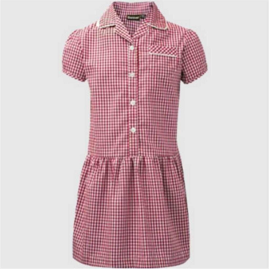 Gingham Dress