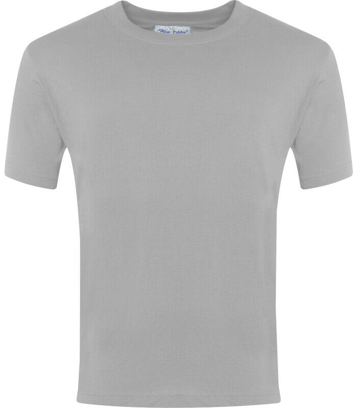 Adult Champion T-Shirt