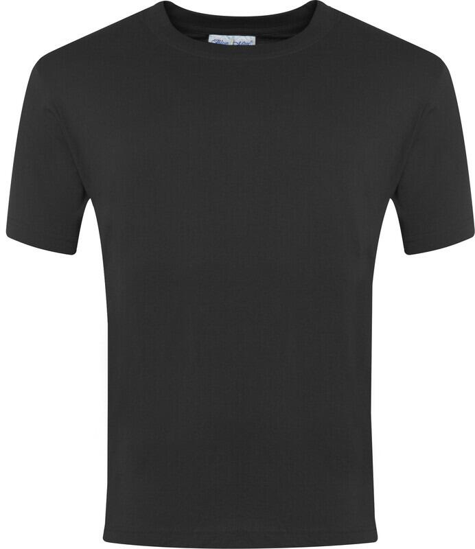 Adult Champion T-Shirt